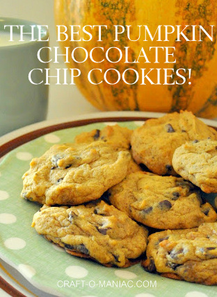 The Best Pumpkin Chocolate Chip Cookies