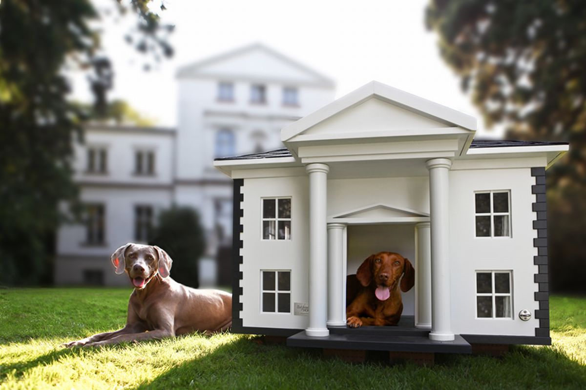 Luxury Dog House Plans