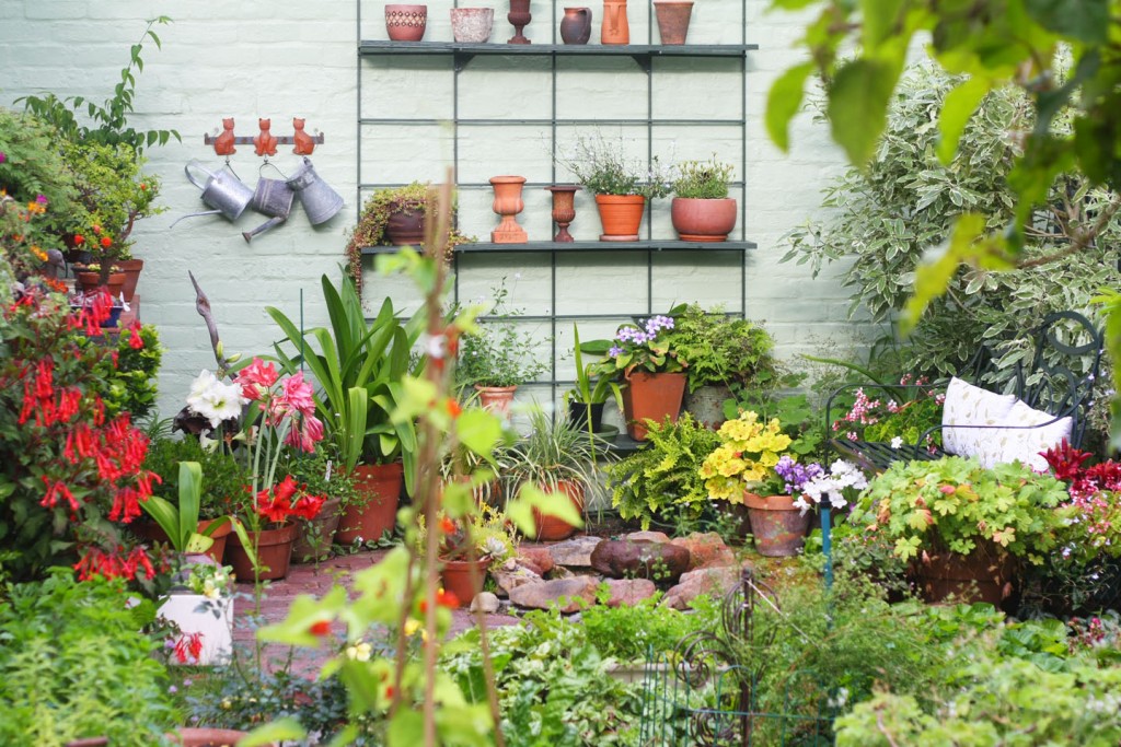 Great Ways To Improve Your Garden on a Budget
