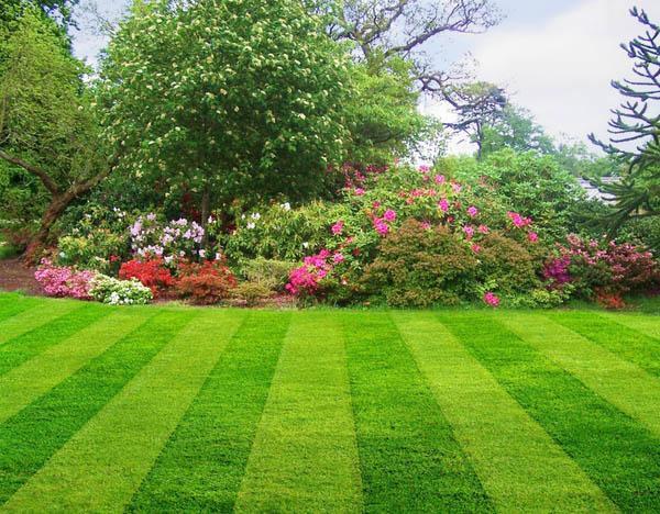 Benefits of Contracting Professional Lawn Care Services