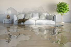 Performing Water Restoration Service In Your Home