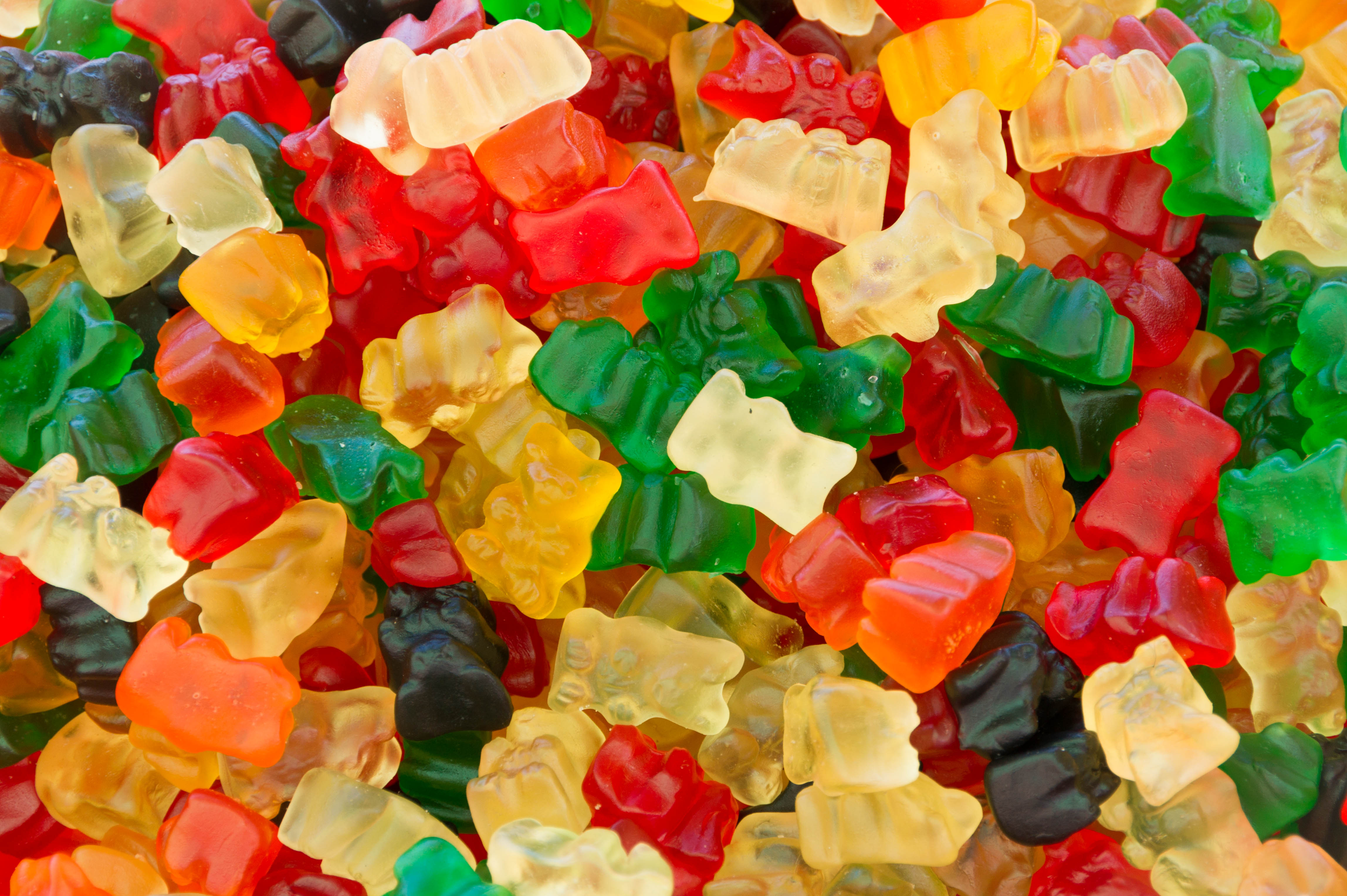 im a yummy gummy bear