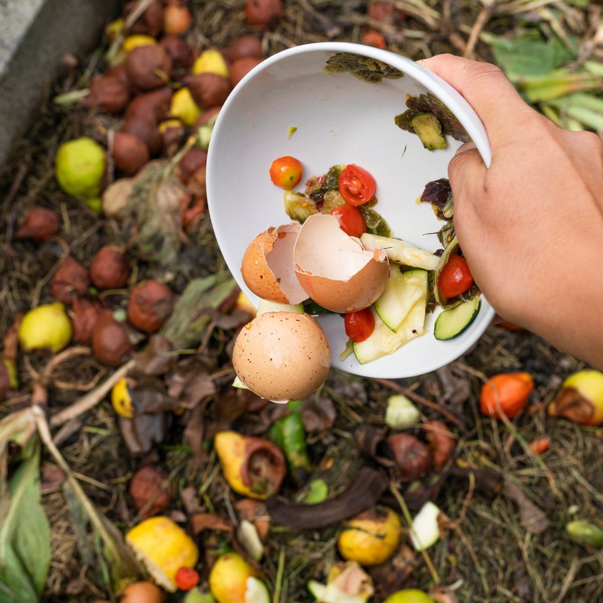 Things To Consider Before Building Your Compost Pile